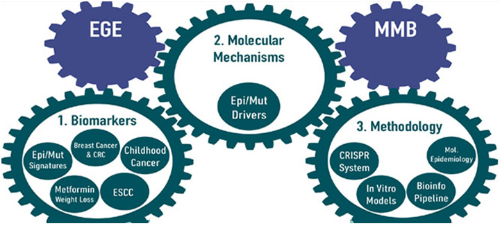 EPIGENOMICS AND MECHANISMS